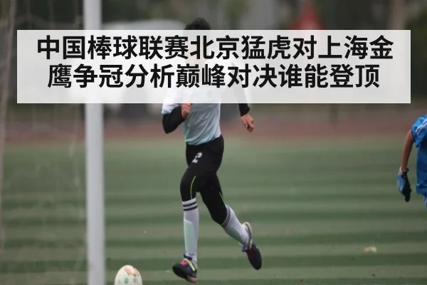 中国棒球联赛北京猛虎对上海金鹰争冠分析巅峰对决谁能登顶